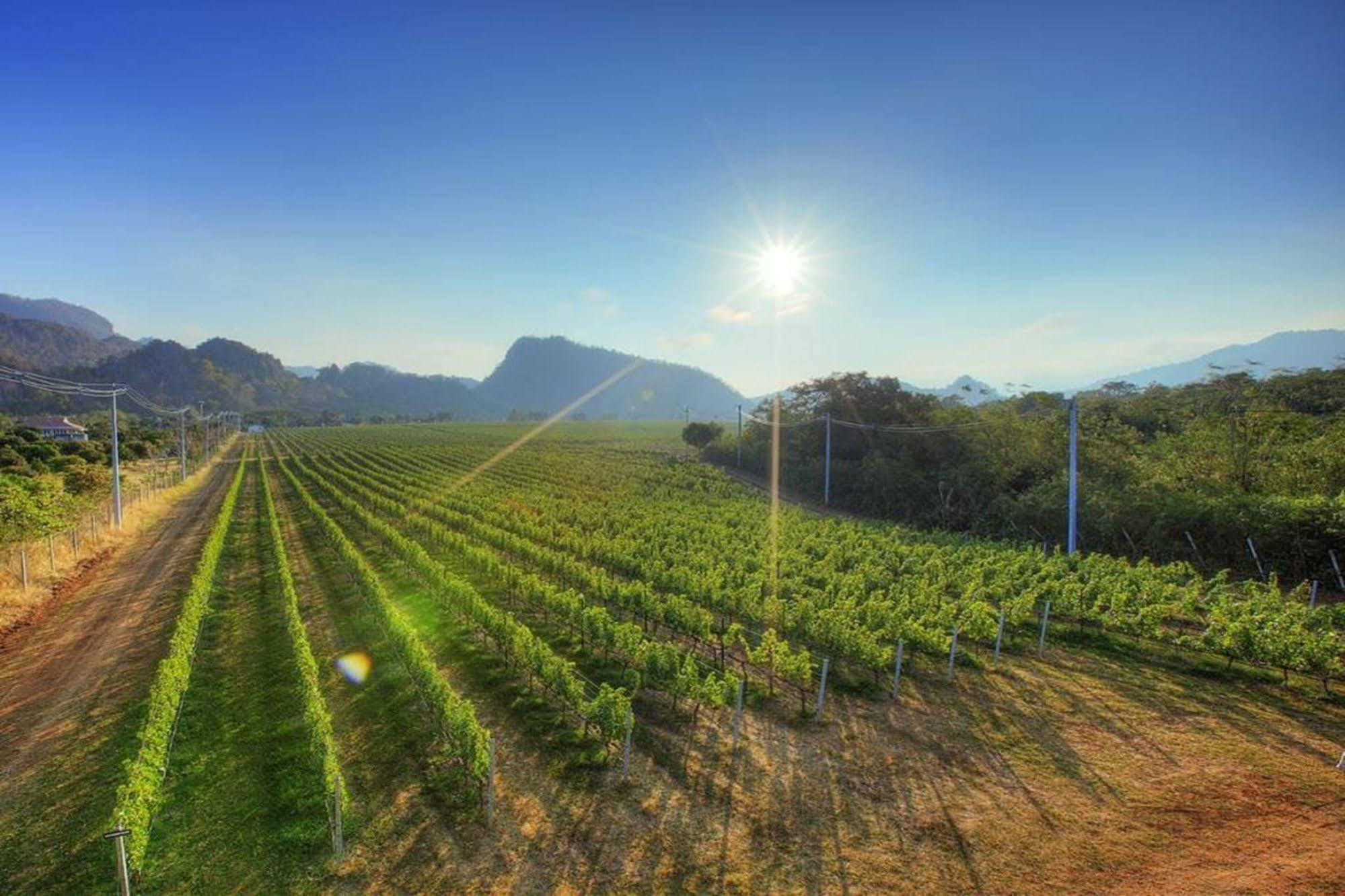 Granmonte Wine Cottage Phayayen Екстериор снимка