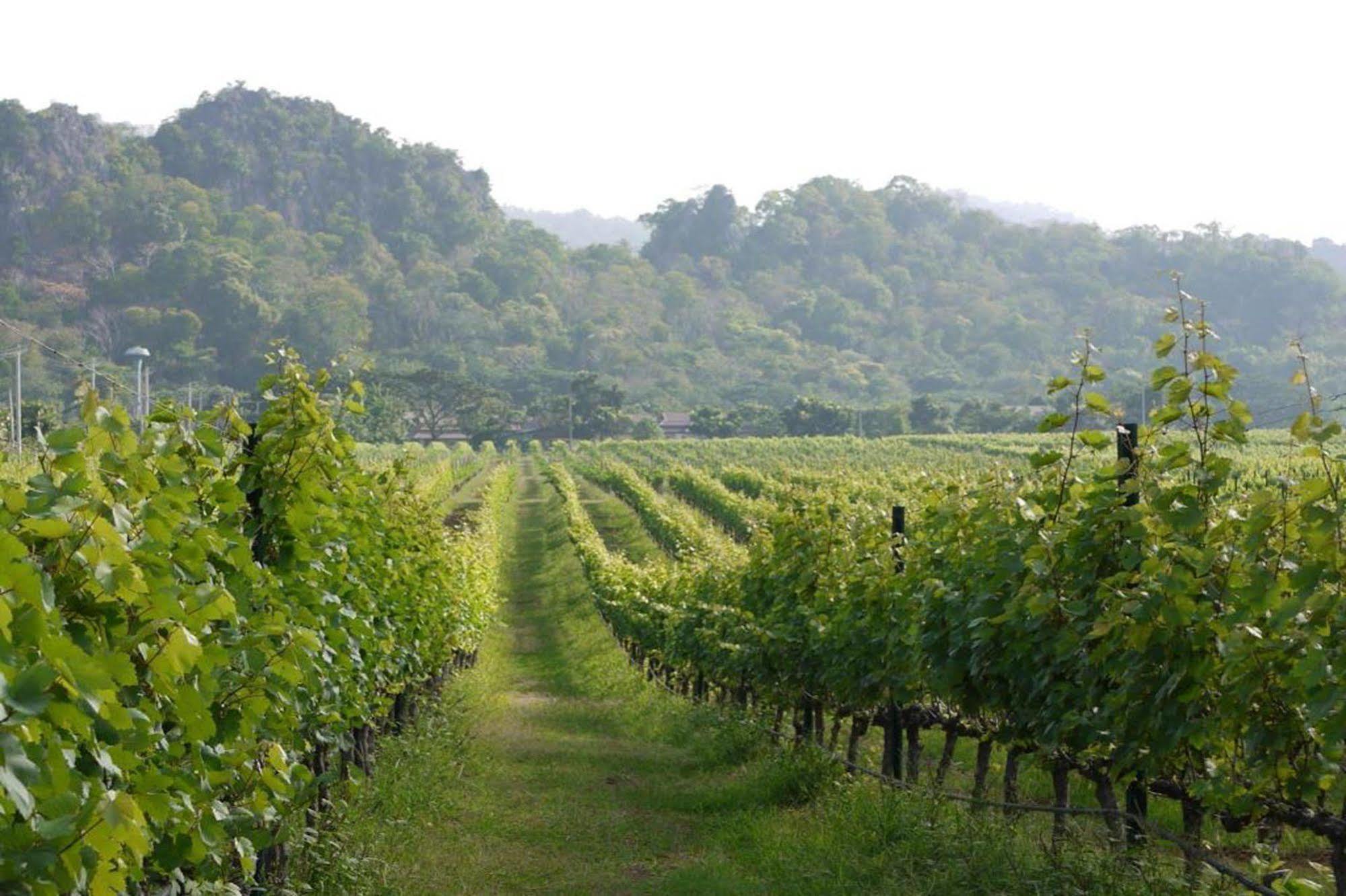 Granmonte Wine Cottage Phayayen Екстериор снимка